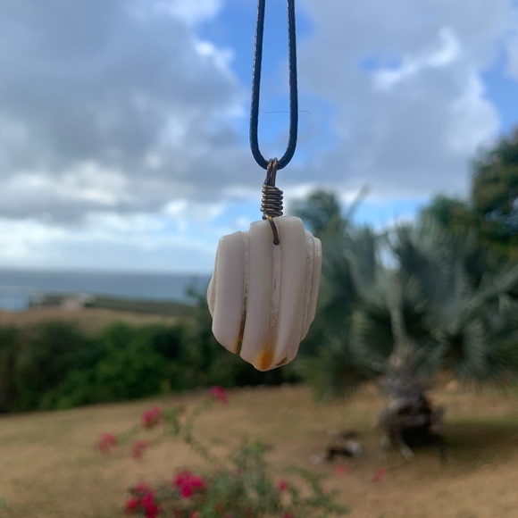 *SOLD* Sea tumbled horse tooth drilled necklace - Picture 3 of 5